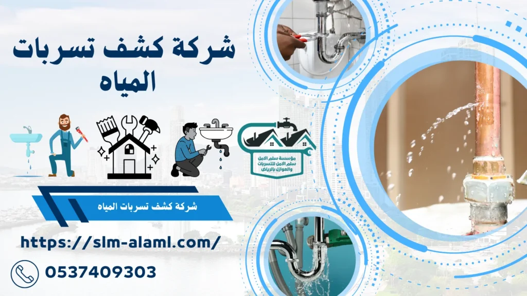 شركة كشف تسربات المياه