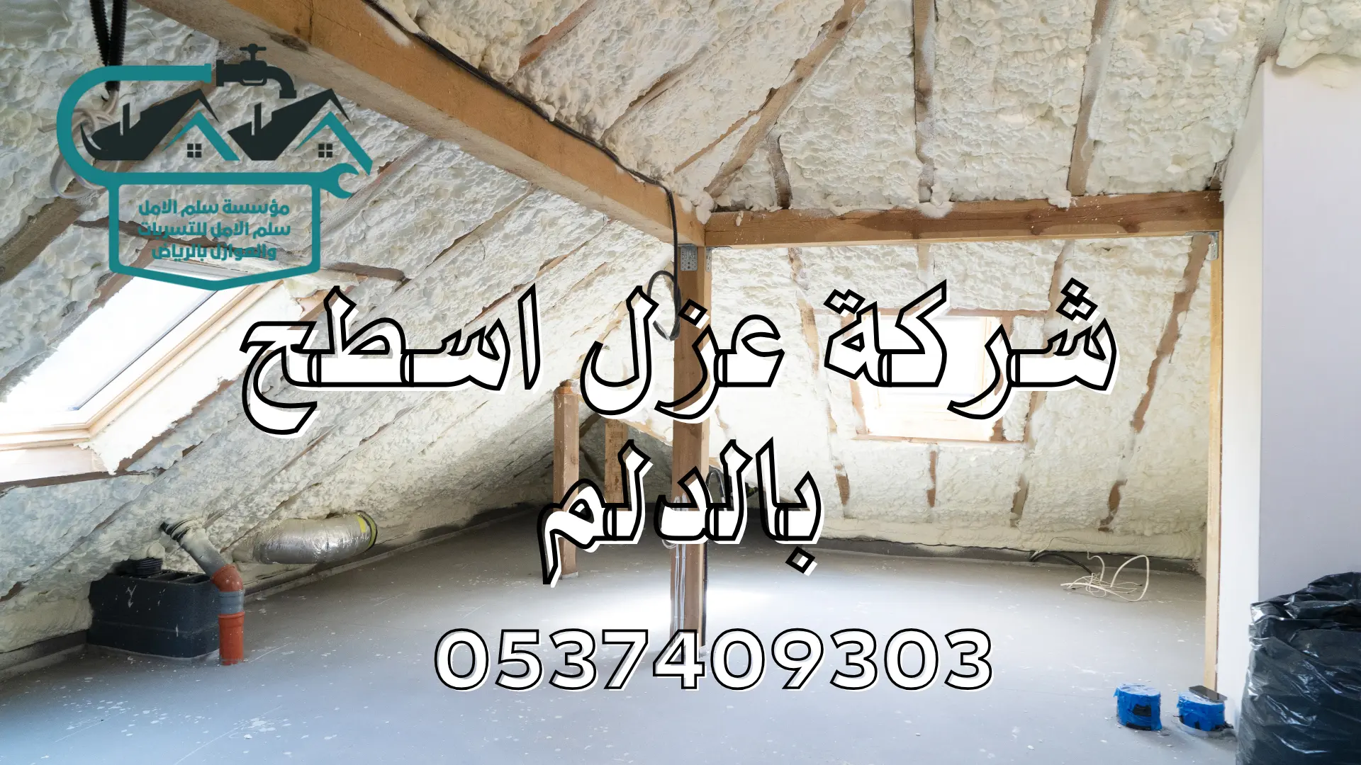 شركة عزل اسطح بالدلم