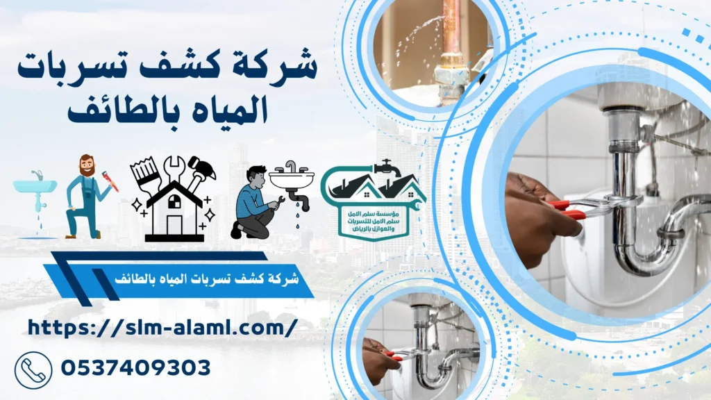 شركة كشف تسربات المياه بالطائف