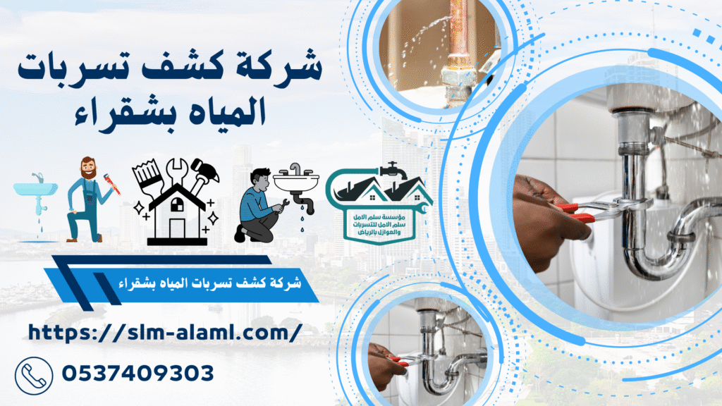 شركة كشف تسربات المياه بشقراء