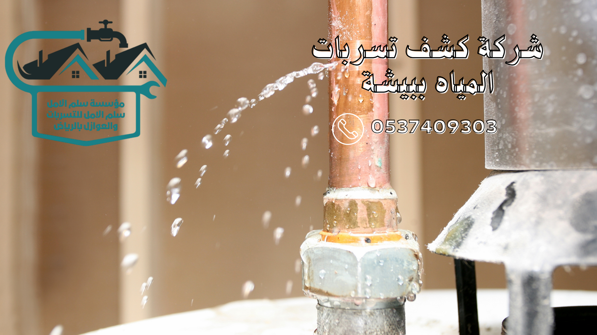 شركة كشف تسربات المياه ببيشة