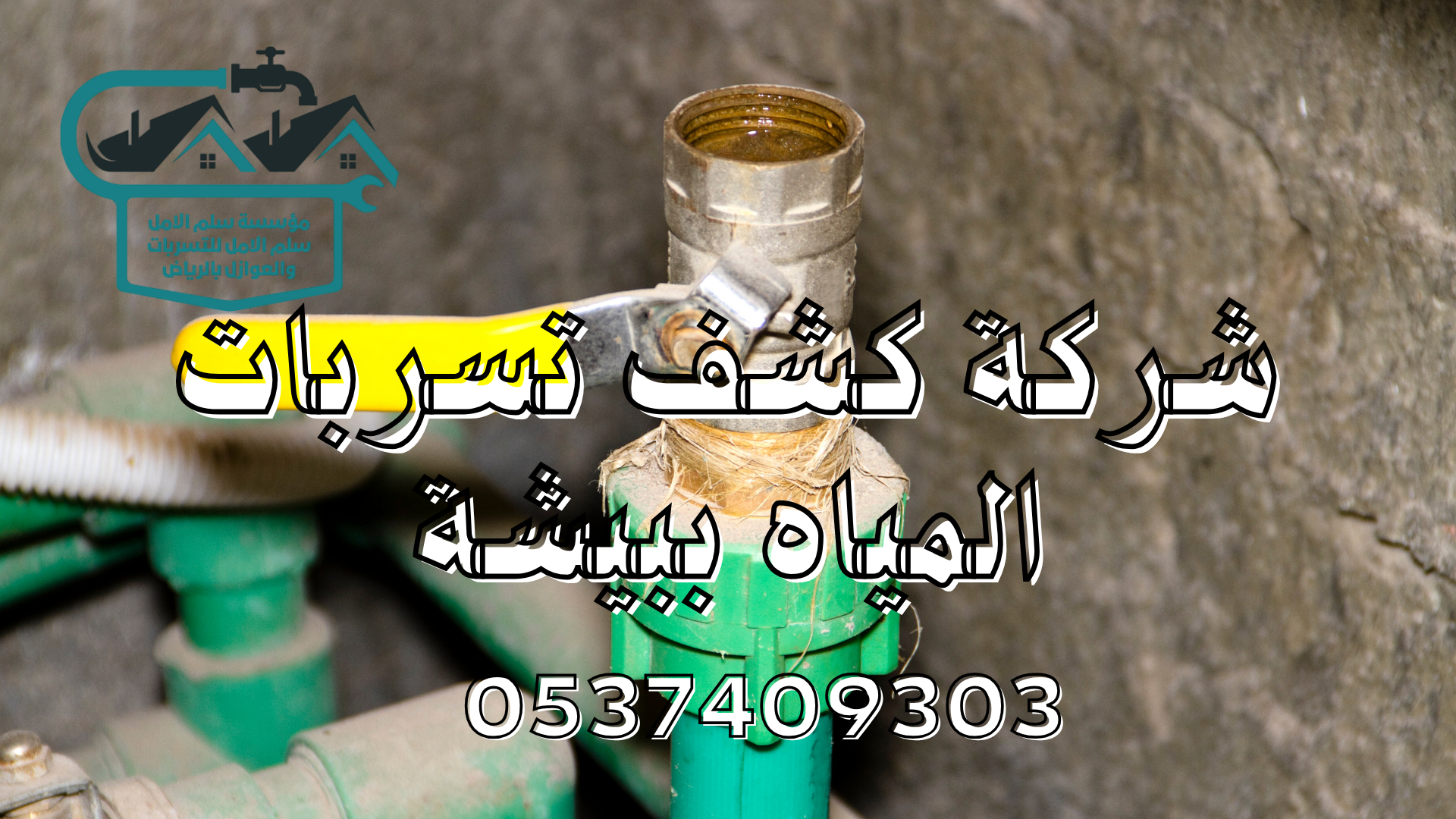 شركة كشف تسربات المياه ببيشة
